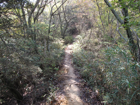 20131116hike (187)
